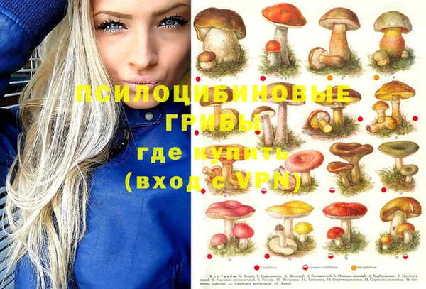 амф Богданович