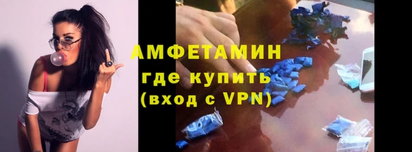 амф Богданович