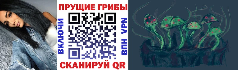 Галлюциногенные грибы Magic Shrooms  Купить закладки  Бор 